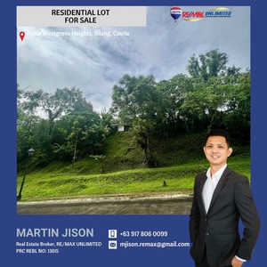 PDM059 - Ayala Westgrove Heights Lot For Sale on Carousell