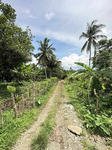 Private Farm for Sale near in Tagaytay on Carousell