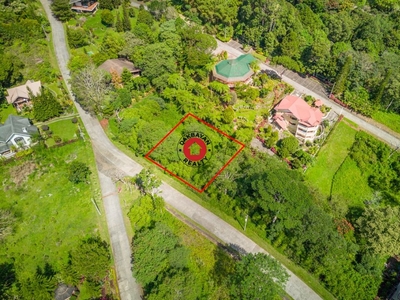 Residential Lot For Sale in Mountain Haven Subdivision on Carousell