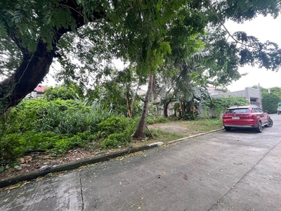 Residential Vacant Lot in Don Bosco Village Better Living Parañaque For Sale on Carousell