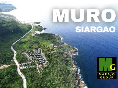 Siargao lots for Sale with great sea view on Carousell