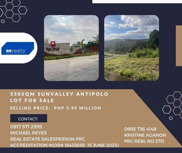 Sun Valley Estates Lot for Sale 350 SQM on Carousell