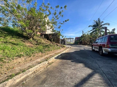 Tagaytay lot for sale 388 sqrm inside subd on Carousell