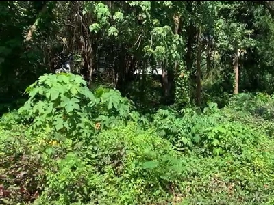VACANT LOT FOR SALE IN SEA SIDE BATANGAS on Carousell
