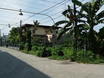 Lot For Sale In Bacoor, Cavite