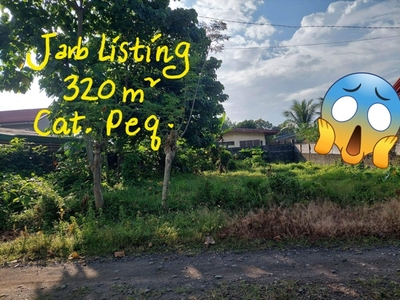 Lot For Sale In Catalunan Pequeno, Davao