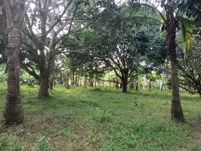 Lot For Sale In Lumampong Balagbag, Indang
