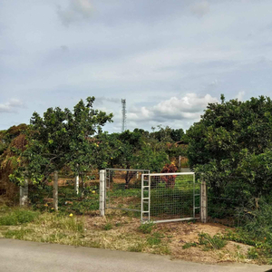 Lot For Sale In Maugat West, Padre Garcia