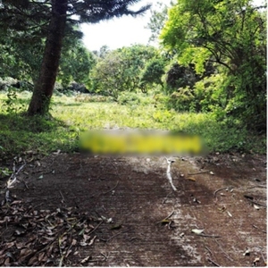 Lot For Sale In Sinaliw Na Munti, Alfonso