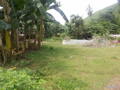 Tunghaan minglanilla subdivided lot only 5 years to pay