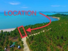 For Sale Beachfront Property