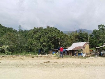 2 Hectares Agricultural land for sale in Puerto Princesa