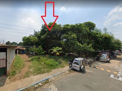 408 sqm Corner Residential Lot For Sale in BF Homes Phase 3 Caloocan