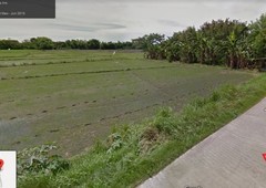 Land for rent in Buenavista East, Quezon