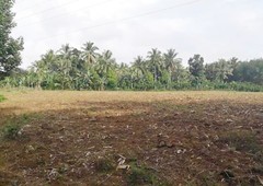 open land for sale 11hectares