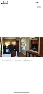 1 Bedroom Fully Furnished Apartment