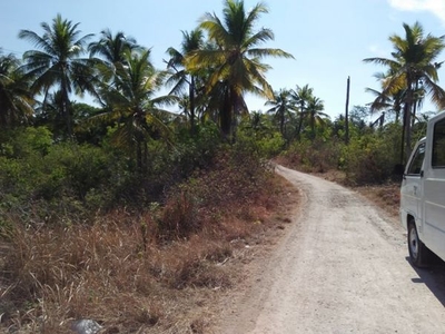 2.08 hectare Lot for sale in Moalboal Cebu