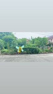 222 Square Meter Solariega Lot Davao