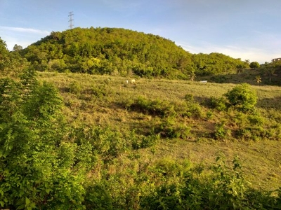 3000 sqm Land For Sale Poblacion, Carmen, Cebu