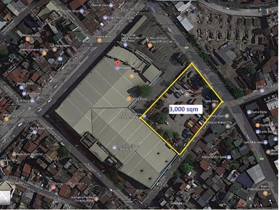 3,038 sqm Lot for Sale Beside Puregold Makati along JP Rizal Street Makati