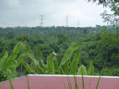 4 Hectares - Lot For Sale in Cabangaan, Silang, Cavite