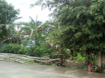 9,900sqm Agricultural Lot in Cavite