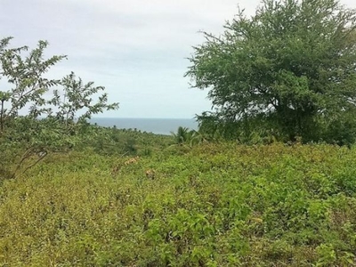 ARGAO CEBU LOT ONLY 1.5 HECTARE (OCEAN VIEW)
