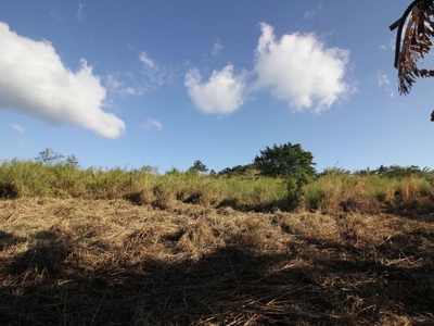 Ecotopia Land for sale 5.7 hectares, Metro Tagaytay
