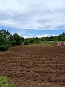 Farm Lot in Calamba Laguna 9,000sqm Clean Title Free Title Transfer