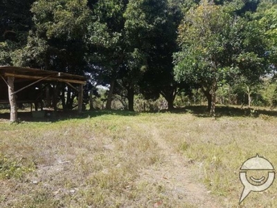 Farm Lot Properties has 1.5 HECTARES @the rate of Php900 per sqm (Neg)