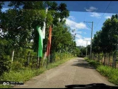 For sale 100 sqm farm lot/ residential lot for sale