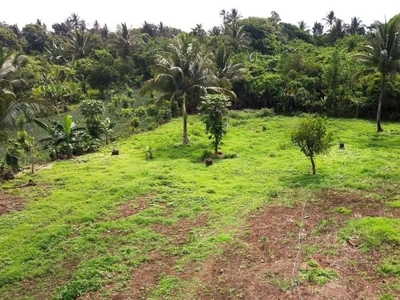 For Sale: 150 Sqm Accessible Lot -50 Meters Away To Tagaytay Bypass Road- 2 Yrs To Pay