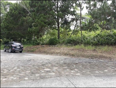 For Sale! 2 prime lots in Mountain Haven, Davao City