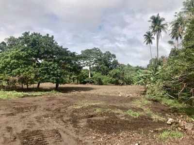 Industrial Lot for Lease in Bypass Road in Alaminos Laguna
