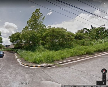 Lot for Sale 169sqm Antipolo Area