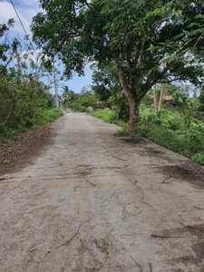 Lot for Sale Located at Brgy. Bucal Amadeo Cavite
