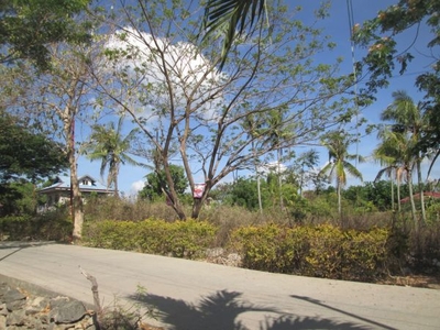 Mactan Cordova Ibabao Residential Lot 3120 sqm for rent