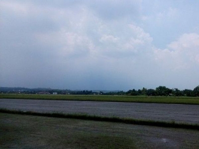 Reduced Price! 8,537sqm Ricefield for business in Morong, Rizal