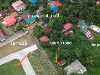 Residential Lot for Sale in Puting Lupa, Calamba Laguna: 2000 sqm