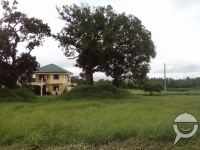 Residential lots in Alfonso Cavite