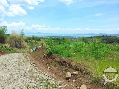 Spectacular lakeview of Laguna Bay from 22-Has. property Tanay Rizal