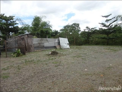 1,829 Sqm Residential Land/lot For Sale Cabanatuan City