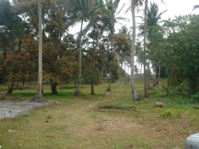 Lot for Sale!! For Sale Philippines