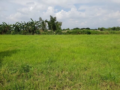 Lot For Sale In Pandacaqui, Mexico