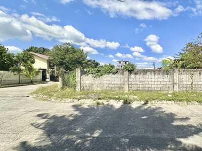 Lot For Sale In Amsic, Angeles