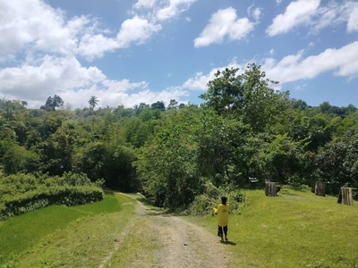 Lot For Sale In Cantores, Buenavista