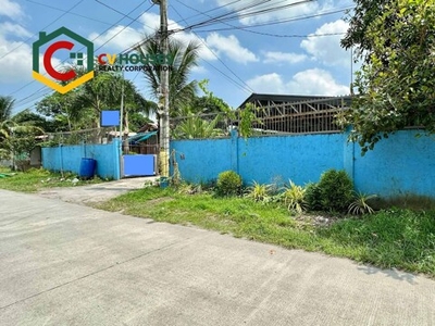 Villa For Sale In Bical, Mabalacat