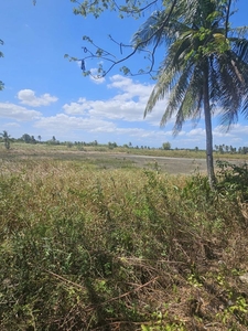 Affordable Lot in Guimaras For Sale 36 Months No Interest