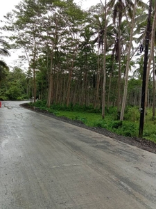 30,000 sq.m. Agricultural Lot For Sale In Camayahan, Butuan City