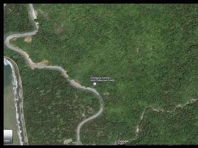 6.7 Hectares Property Land for sale Malimono, Surigao